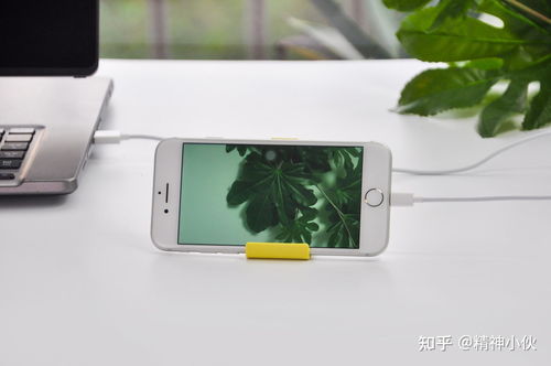 2021年蘋(píng)果產(chǎn)品選購(gòu)指南 iPhone、iPad、iWatch、AirPods全方位解析及軟件設(shè)計(jì)開(kāi)發(fā)推薦